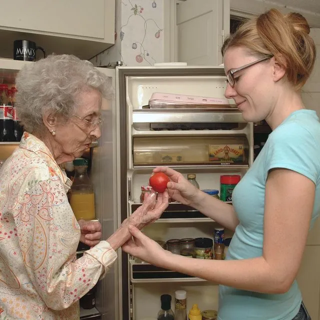 thumbnail for publication: Home and Community-Based Services for Florida’s Seniors: Family Elder Caregiver Support Services from Florida’s Aging Network